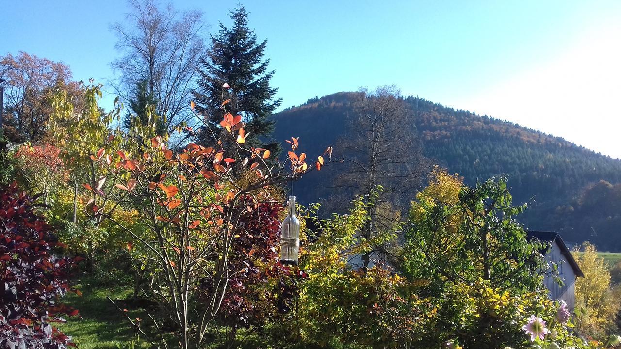 Apartment Schoenblick Winterberg Bagian luar foto