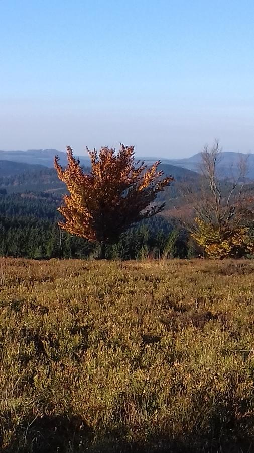 Apartment Schoenblick Winterberg Bagian luar foto